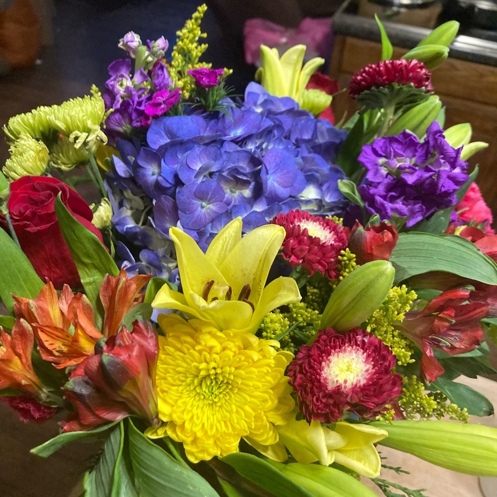 Meet your Posher, Jayeden